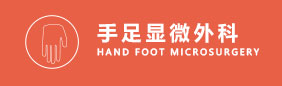 手足显微外科